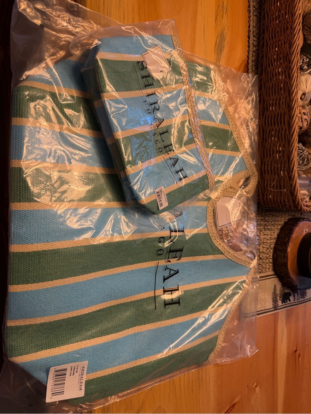Shiraleah Blue and Green Striped Tote with Matching Pouch